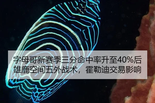 zi-mu-ge-xin-sai-ji-san-fen-ming-zhong-lv-sheng-zhi-hou-xiong-lu-kong-jian-wu-wai-zhan-shu-huo-lei-di-jiao-yi-ying-xiang-1-900.jpg